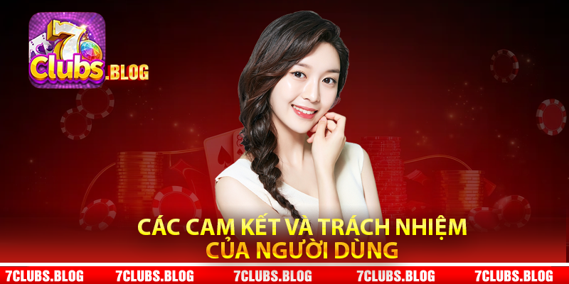 Các cam kết và trách nhiệm người dùng